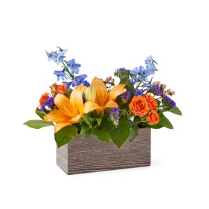 Radiant Citrus Box