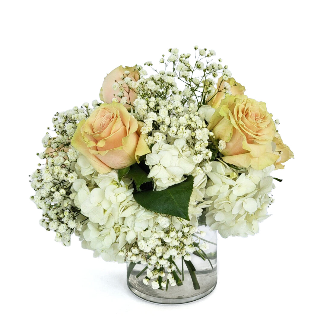 Bonjour Bebe Arrangement