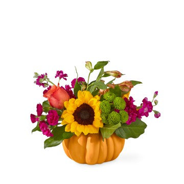 Bippity Boppity Pumpkin