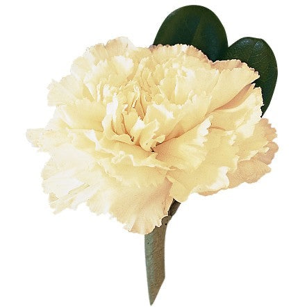 Carnation Boutonnière