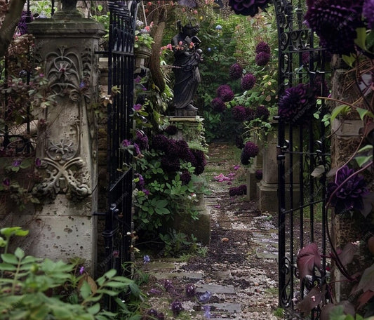 It’s Spooky Season!