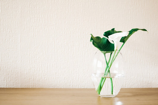 Vases, Vases, and Vases