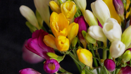 Garden of Eden Tip of the Week: Choosing Funeral Flowers