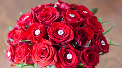 How roses came to be THE Valentine's Day flower