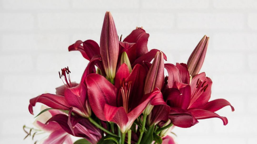 Grocery Store vs. Flower Shop