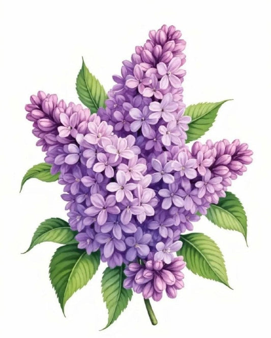 WHEN LILACS LAST IN THE DOORYARD BLOOM’D…