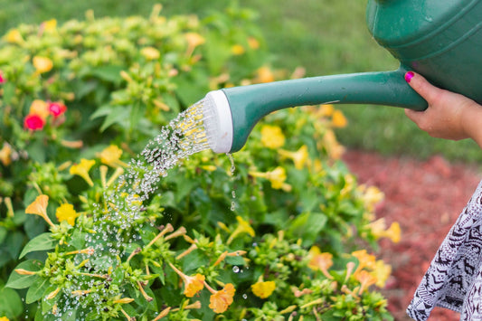 Tip of the Week: DIY Watering Machine