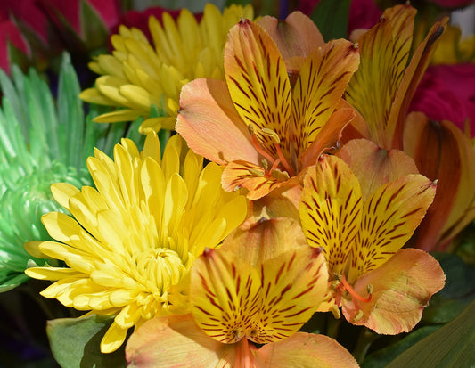 Wedding Flowers in Season: September