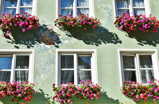 Tip of the Week: Reusable Planters