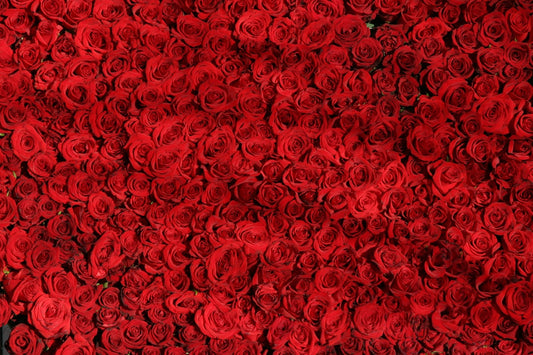 Tip of the Week: Perfect Roses