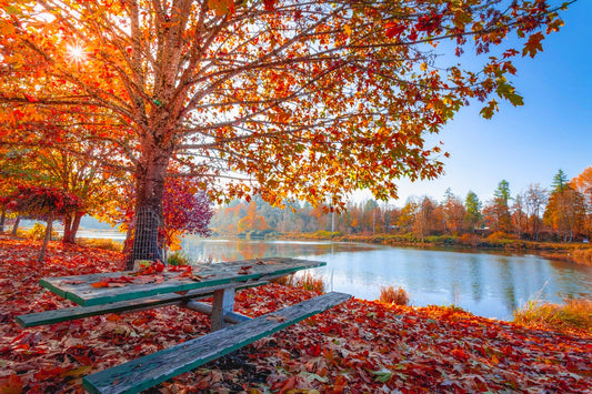 Tip of the Week: Falling for Lawns