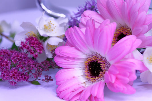 Feature Flower Friday: Jasmine