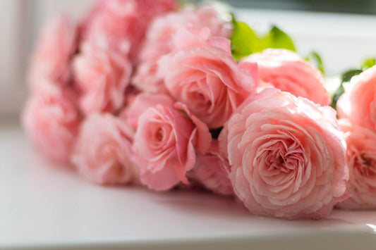 Feature Flower Friday: Peonies