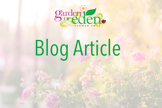 Getting Your Garden Spring Ready