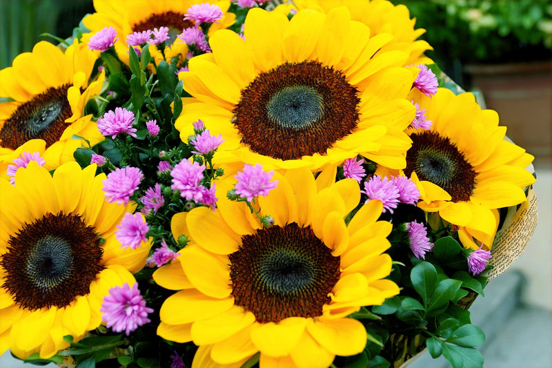 Sunflower Ideas for your Wedding Day
