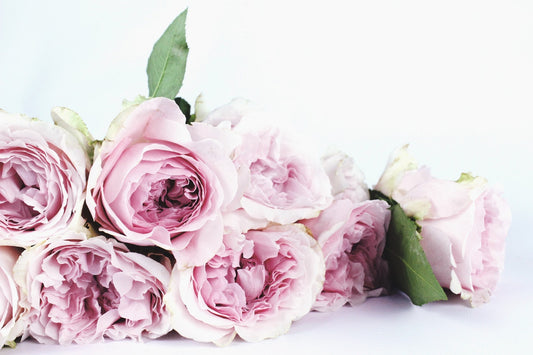 How to Apologize With Flowers