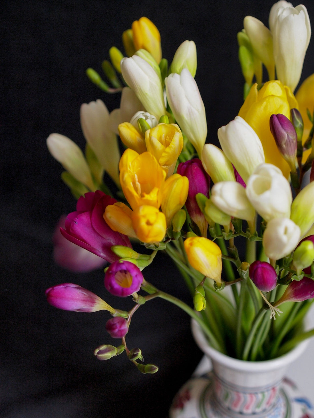 Feature Flower Friday: Freesia