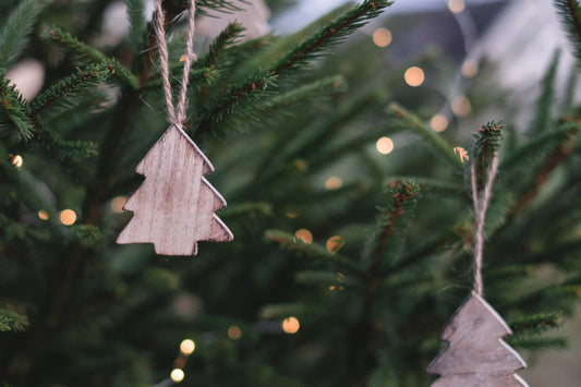 Feature Flower Friday: Christmas Trees