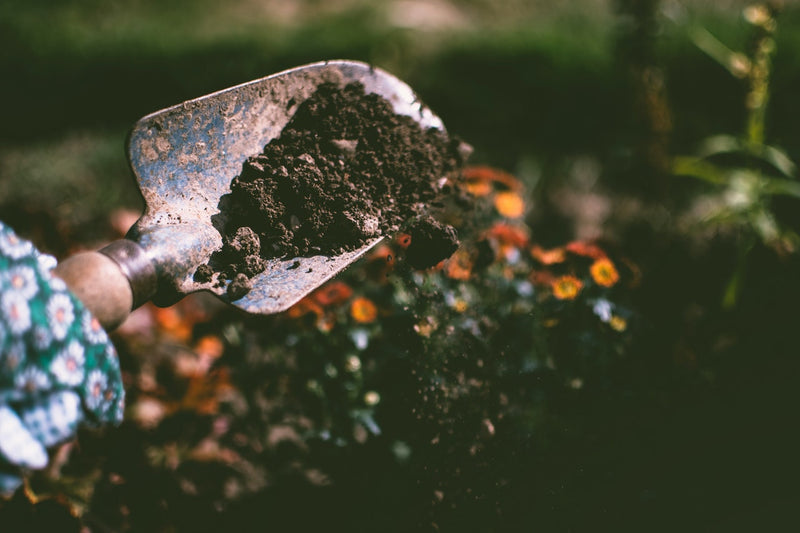 Tip of the Week: Leaky Soil