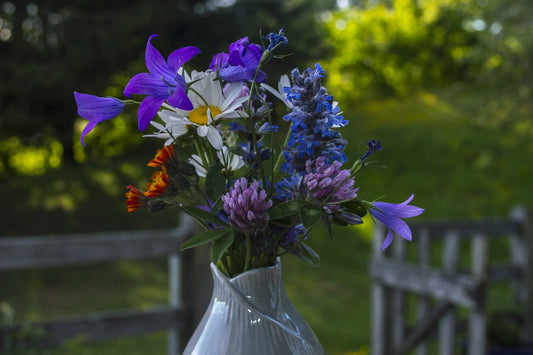 Common Cut Flower Mistakes and How to Avoid Them