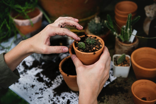 Tip of the Week: Scrubbing Salty Pots