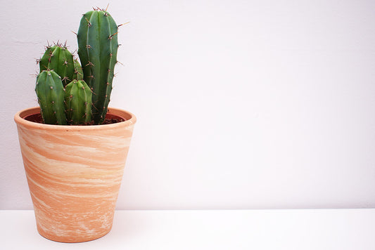 Varying Vases