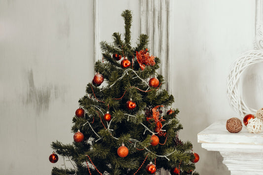 Tip of the Week: Keeping Christmas Trees Fresh