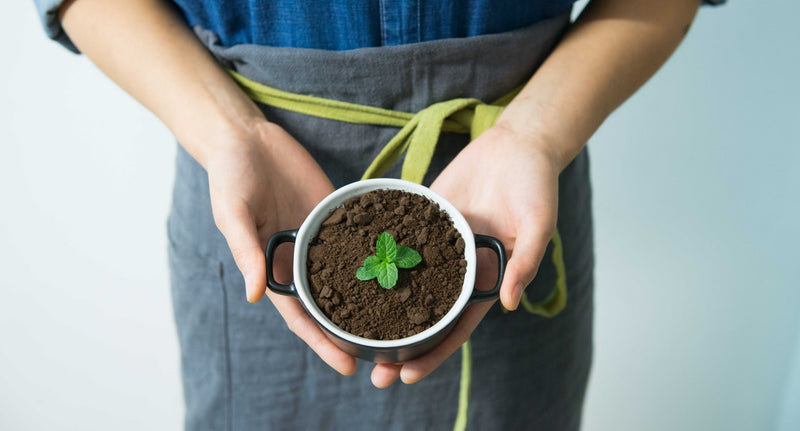 Tip of the Week: Coffee Grounds