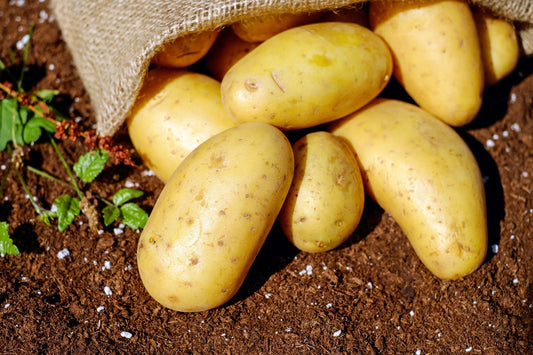Tip of the Week: Potato Roses