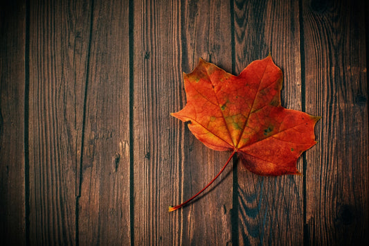 Hello November