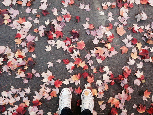 Tip of the Week: Late Fall Composting