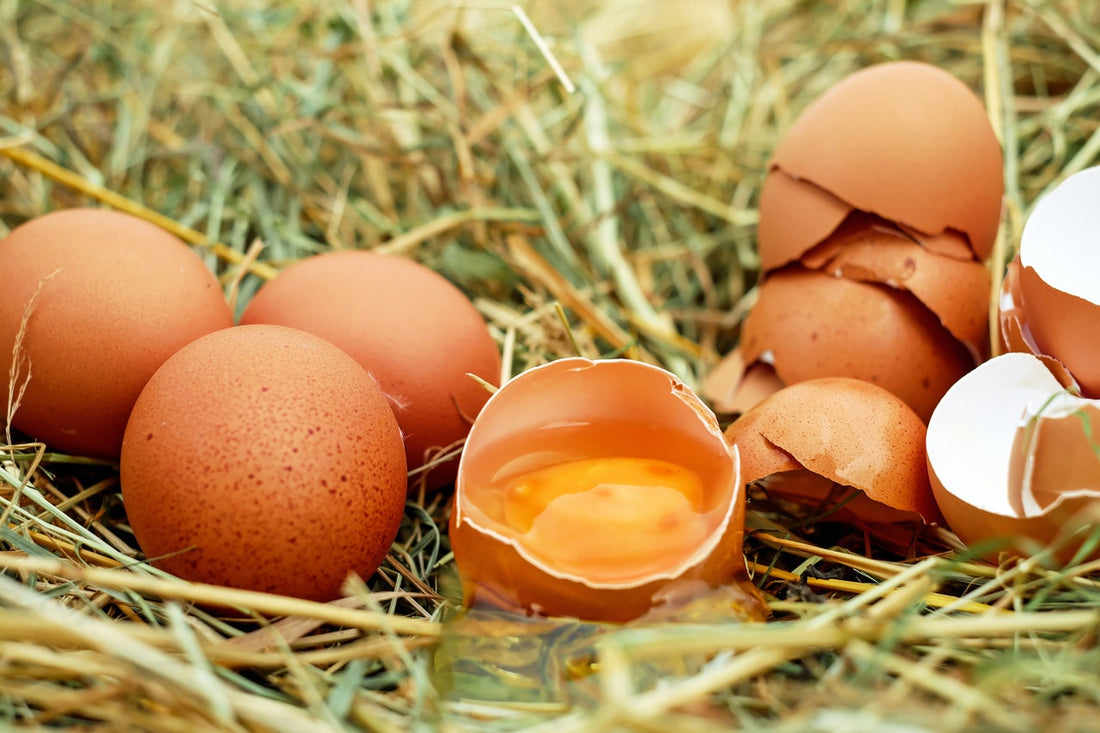 Tip of the Week: On Eggshells
