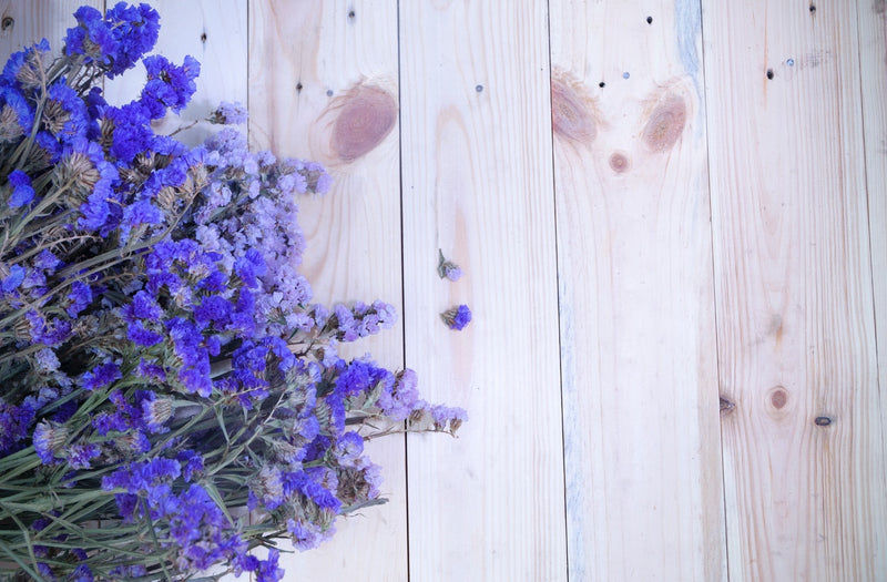 Feature Flower Friday: Lavender