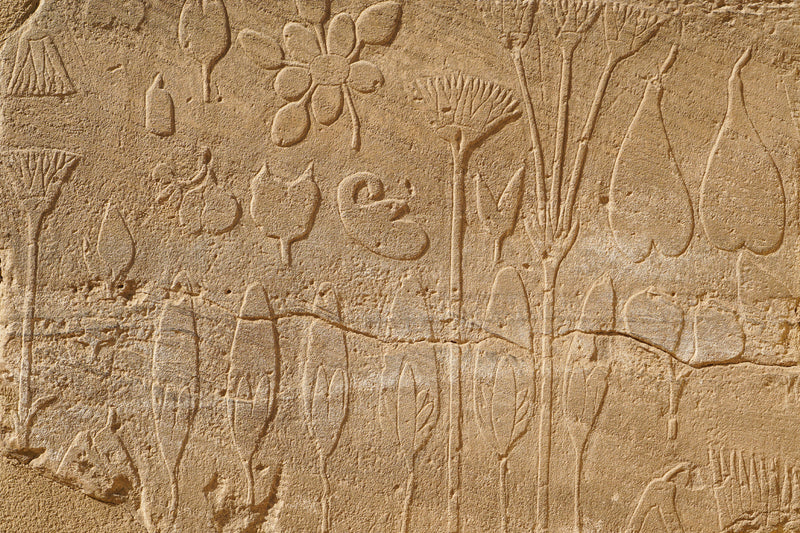 Floral Traditions in Ancient Egypt - from Garden of Eden Flower Shop