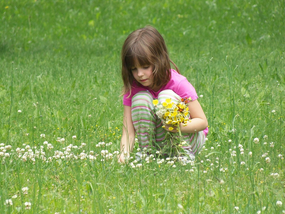 Simple Guide to Picking Flowers