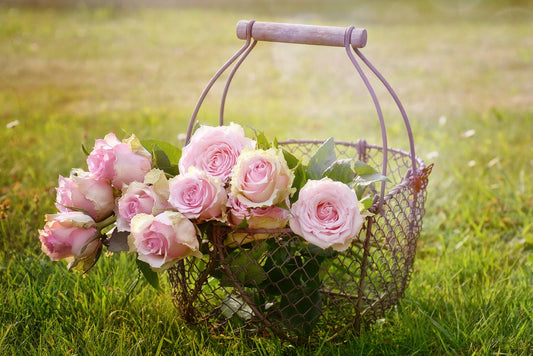 Keeping Flowers Fresh