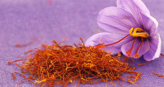 Saffron Crocus