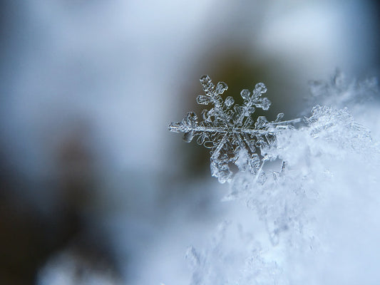 Tip of the Week: Snowfall