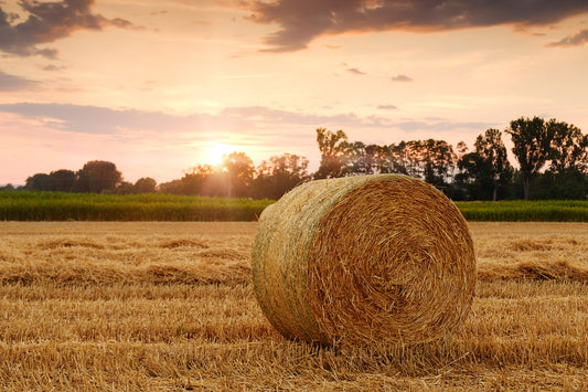 Tip of the Week: Straw Bales