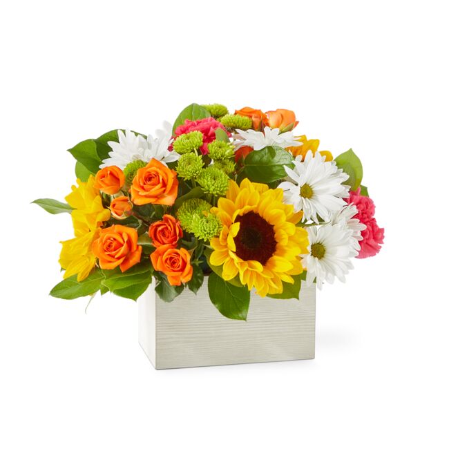 Sun-Drenched Blooms Box