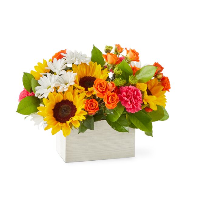 Sun-Drenched Blooms Box