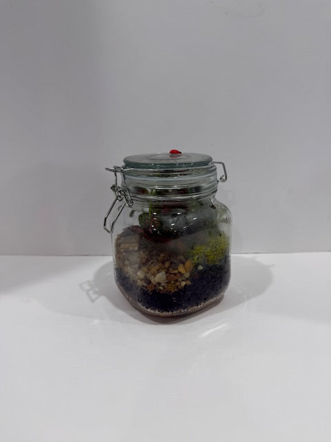 Terrarium