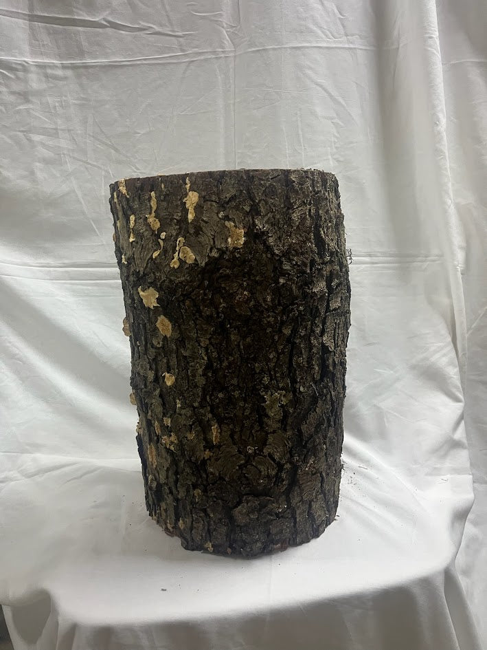 Tree Stump Centerpieces