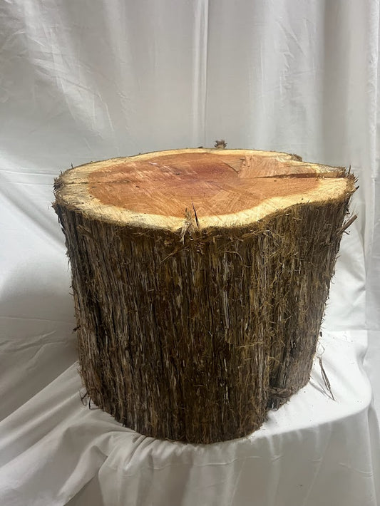 Tree Stump Centerpieces