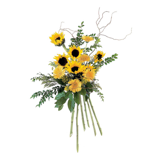 Shining Sentiments Spray