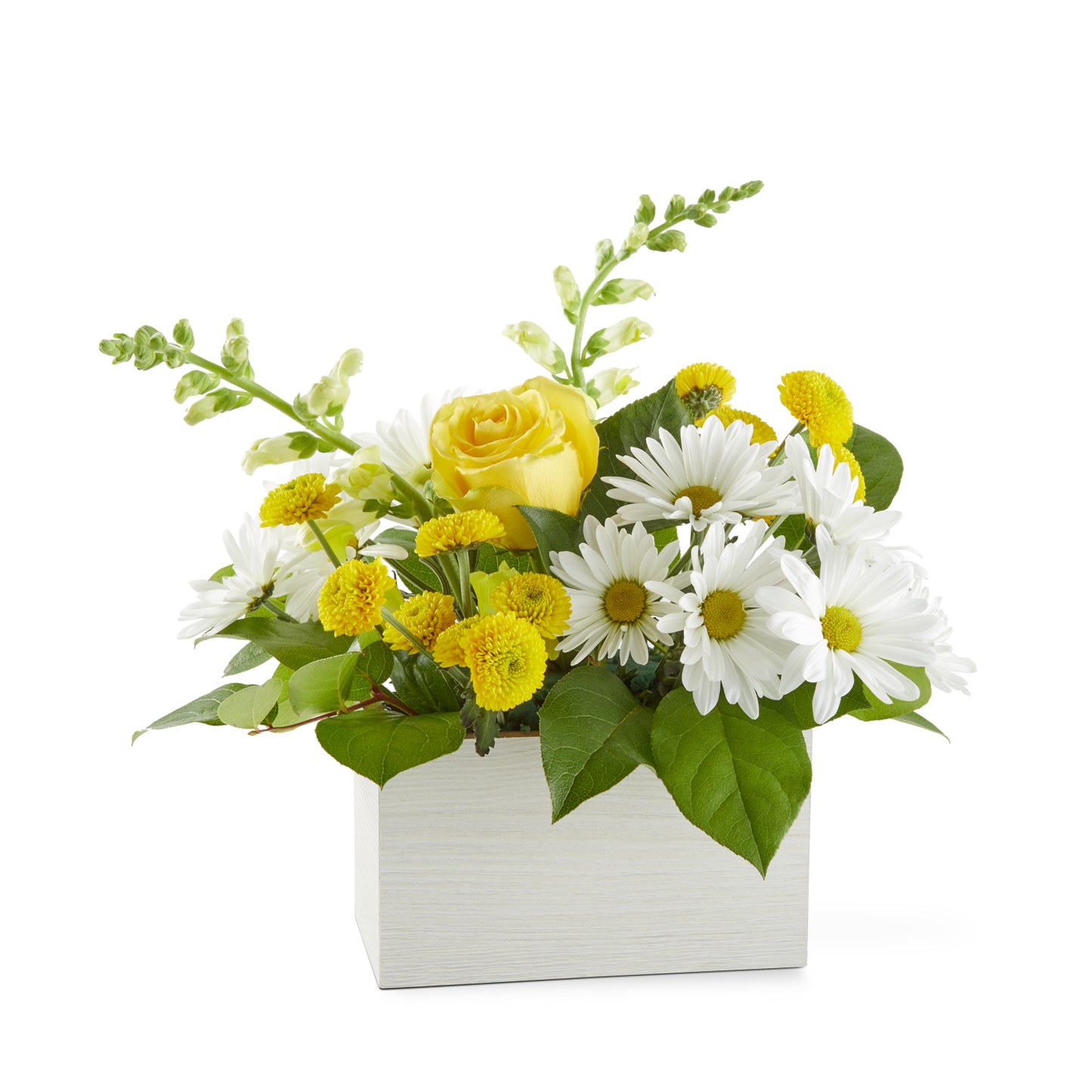 Sun Salutation Box Bouquet