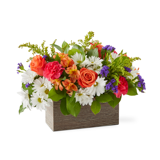 Oopsie Daisy Box Bouquet