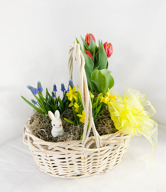 Standard Blooming Plant Basket